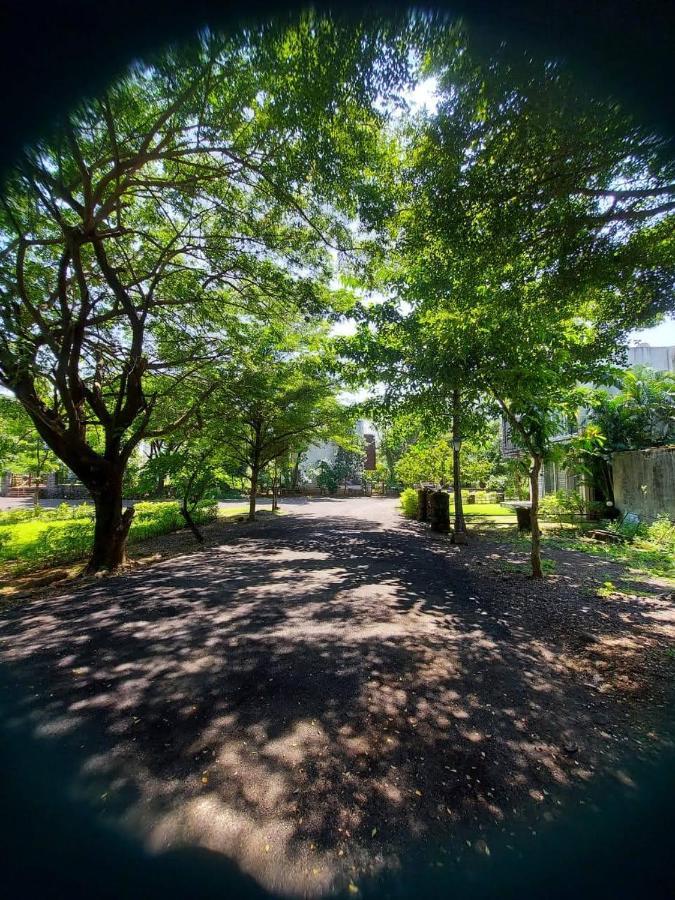 Destination A1 32 Villa 内拉尔 外观 照片